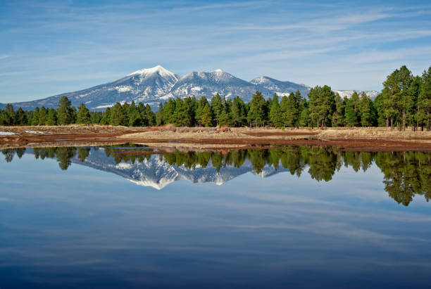 Snowcapped peaks in Arizona’s White Mountains reflected in a calm lake bordered by pine trees.