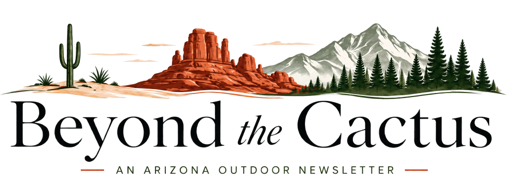 Beyond the Cactus logo featuring Arizona desert, red rocks, mountains, and pine trees