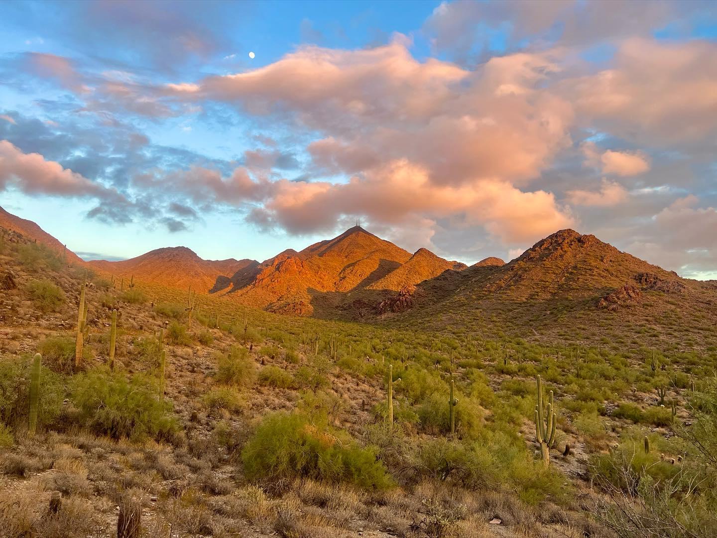 Thompson Peak and saguaro cacti viewed from Bell Pass Trail in Scottsdale, Arizona.